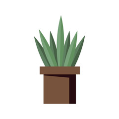 plant inside pot icon vector design