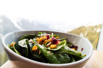 Bowl filled with fresh spinach and cranberries, with a mountain landscape in the background