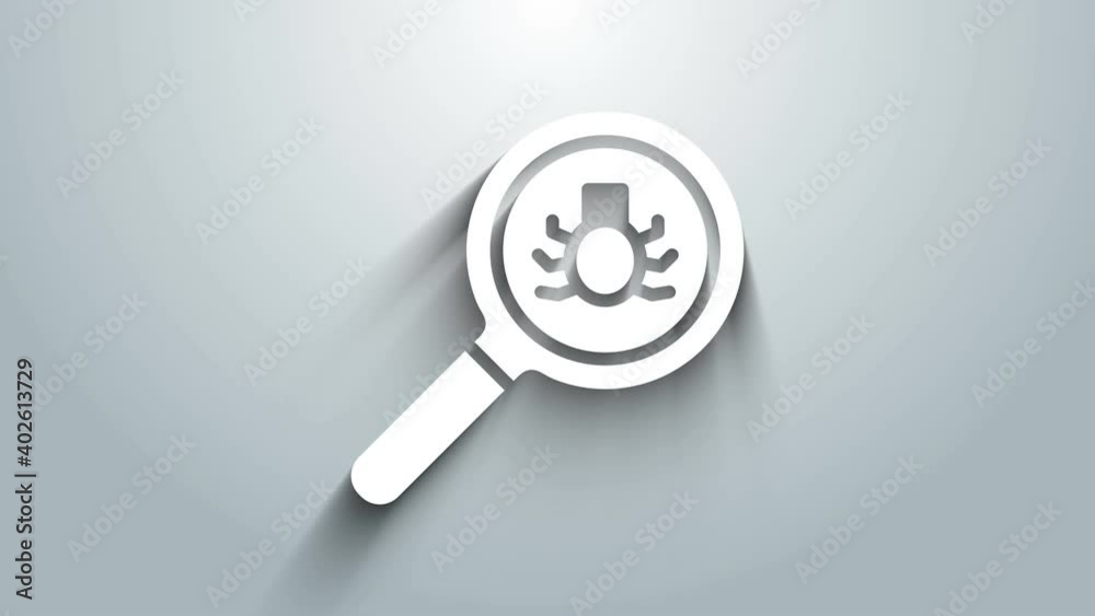 Poster white flea search icon isolated on grey background. 4k video motion graphic animation