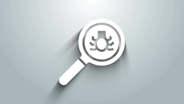 White Flea search icon isolated on grey background. 4K Video motion graphic animation