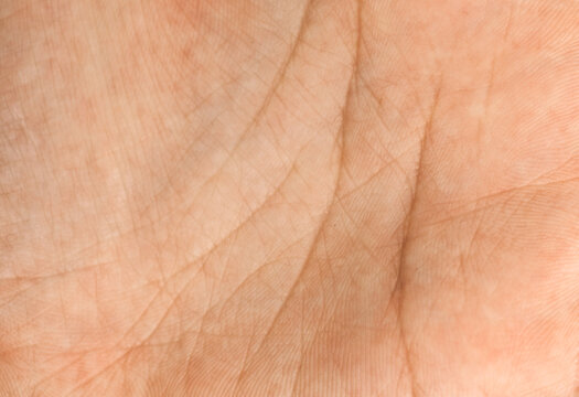 The texture of the skin of a woman's hand with lines on the palm.