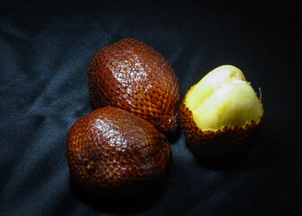 thorny palm isolated on black background