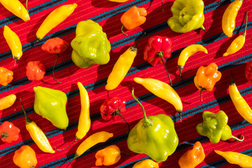 Assorted Colorful Chili Peppers in a Pattern on a Red Table Cloth (Overhead)