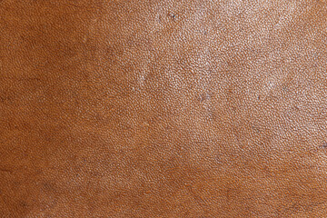 leather grunge background: an old piece of tough camel skin, with scuffs, spots, scars