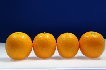 背景素材　可愛い整列した金柑