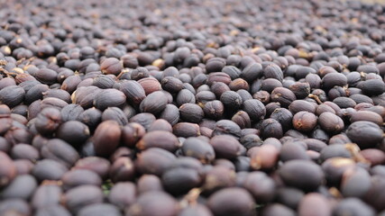 Coffee beans being able to use background