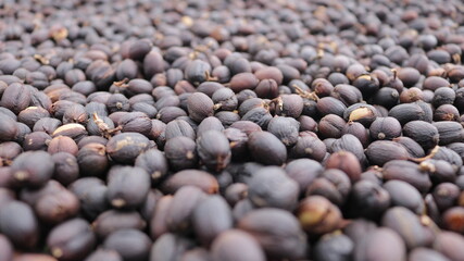 Coffee beans being able to use background