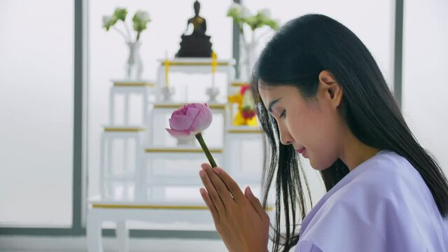Asian Buddhist woman holding lotus and praying to the Buddha.