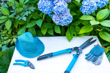 Set of blue tools for gardening on the table among flowers