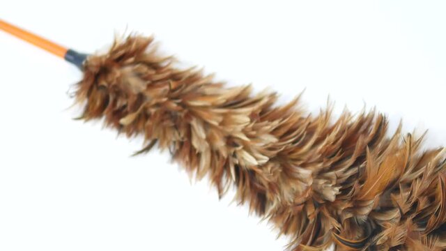 Feather duster isolated on white background
