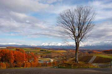 Photography of Hokkaido 