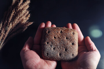 Bakery and grocery concept. Fresh, healthy sorts of rye and white loaves food closeup. Fresh...