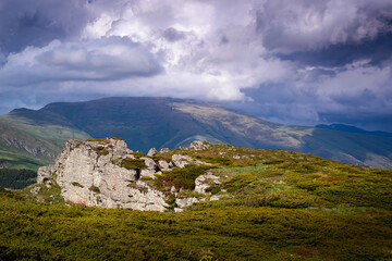 Green valley nature landscape.