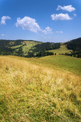 Summer Mountains, Pieniny. View from Smolegowa Skala on Brysztanskie Skaly and Rozdziela Pass, Beskid Sadecki.