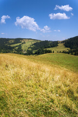 Obraz premium Summer Mountains, Pieniny. View from Smolegowa Skala on Brysztanskie Skaly and Rozdziela Pass, Beskid Sadecki.