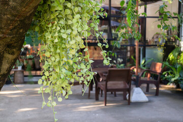Beautiful summer green garden minimal style