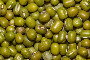mung bean seeds (Vigna radiata) aka green gram, maash or moong