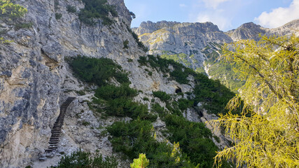 Fototapeta premium A close up view on the steep slopes of Italian Dolomites. The slopes are stony, partially covered with small plants. A few tree branches in the view. Sunny and bright day. Shap and high mountains