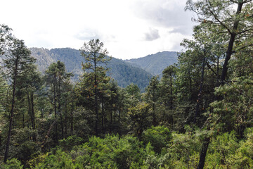 Obraz premium Montaña en la Sierra Norte de Oaxaca