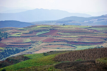 Dongchuan Red Earth Multi-Colored Terraces - Red Soil, Green Grass, Layered Terraces