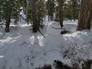 monos de nieve