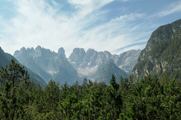 Panoramic view on the high Italian Dolomites peaks. There are dense pine trees in the front,...