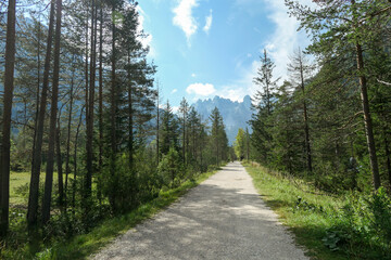 Fototapeta premium A wide gravelled road in Italian Dolomites, leading through a forest towards the valley. An idyllic view on the high mountains. Sunny day. A few clouds above the peaks. Lush green plateau. Remedy