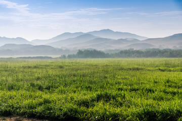 Fototapeta premium Cultivation land and nature of Saudi Arabia