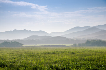 Fototapeta premium Cultivation land and nature of Saudi Arabia