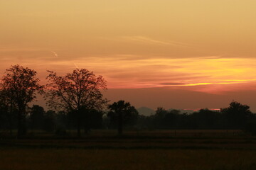 Orange light of sunrise, silhouette and blue sky in the morning 