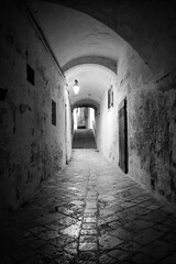 Street in a Medieval Village in the Mountains of Southern Italy In Black and White
