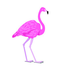 Bright pink flamingo. Exotic tropical beautiful bird. Modern vector stock illustration isolated on white. For for postcard, card, stickers, fabric, t-shirt, posters, textiles, gifts, travel sets.