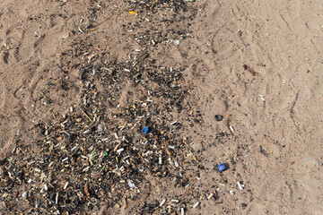 Pollutions and garbages on sandy beach of the red Sea