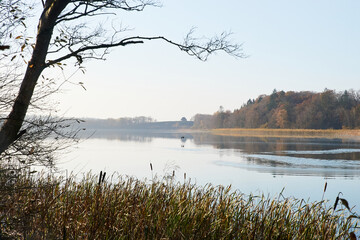 view over calm water at Flyndersoe lake in morning sun
