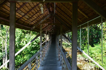 Wooden bridge somewhere in Borneo forest
