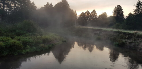 Morning on the river. Early foggy morning. Reeds.The surface of the water is covered with fog.Forest in the fog.