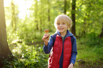 Preschooler child pick the edible mushroom during walk in the forest with his parent.