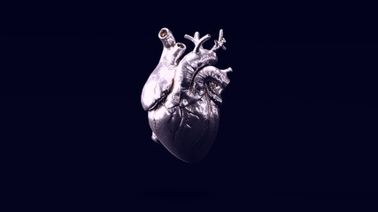 Silver Anatomical Heart with Bright White 80s Lighting 3d illustration render	 - obrazy, fototapety, plakaty