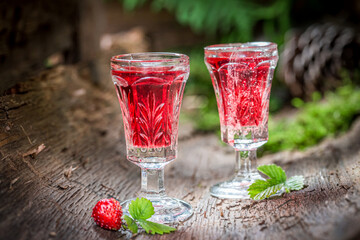 Sweet tincture made of wild strawberry and alcohol in forest