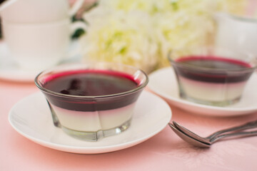 Delicious Italian dessert with fresh berry sauce.
