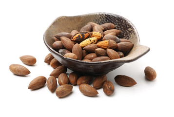 Torreya grandis seeds nut on white background