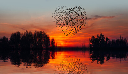 Silhouette of birds flying above the lake with wooden pier at amazing sunset