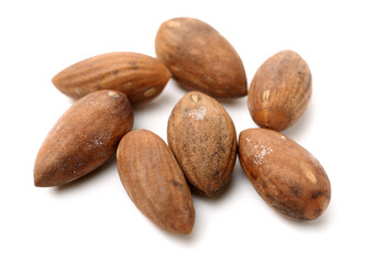 Obraz premium Torreya grandis seeds nut on white background