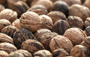 Close up of walnuts as background. Macro