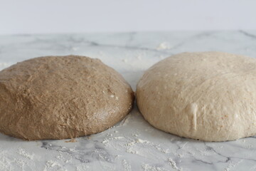 Fototapeta na wymiar Homemade rye and white flour sourdough tartine bread.