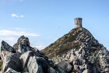 Fototapeta premium Turm