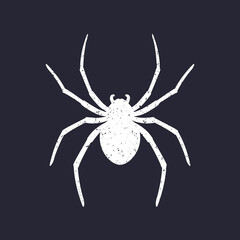 spider vector art on dark