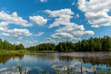 Obraz na płótnie Canvas Summer forest landscape with blue sky and white curly clouds. Reflection in the lake.