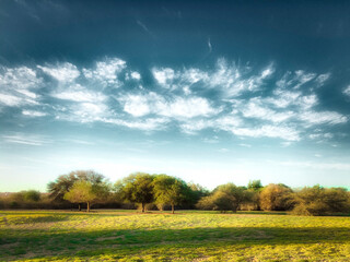 Nature and beautiful sky background