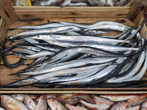 Fresh garfish on the market